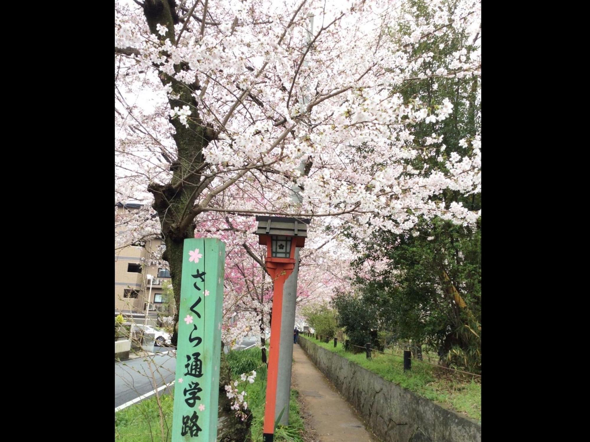 Kyounoyado Hana Nishijin - Kimono No Yado Kyōto Exterior foto