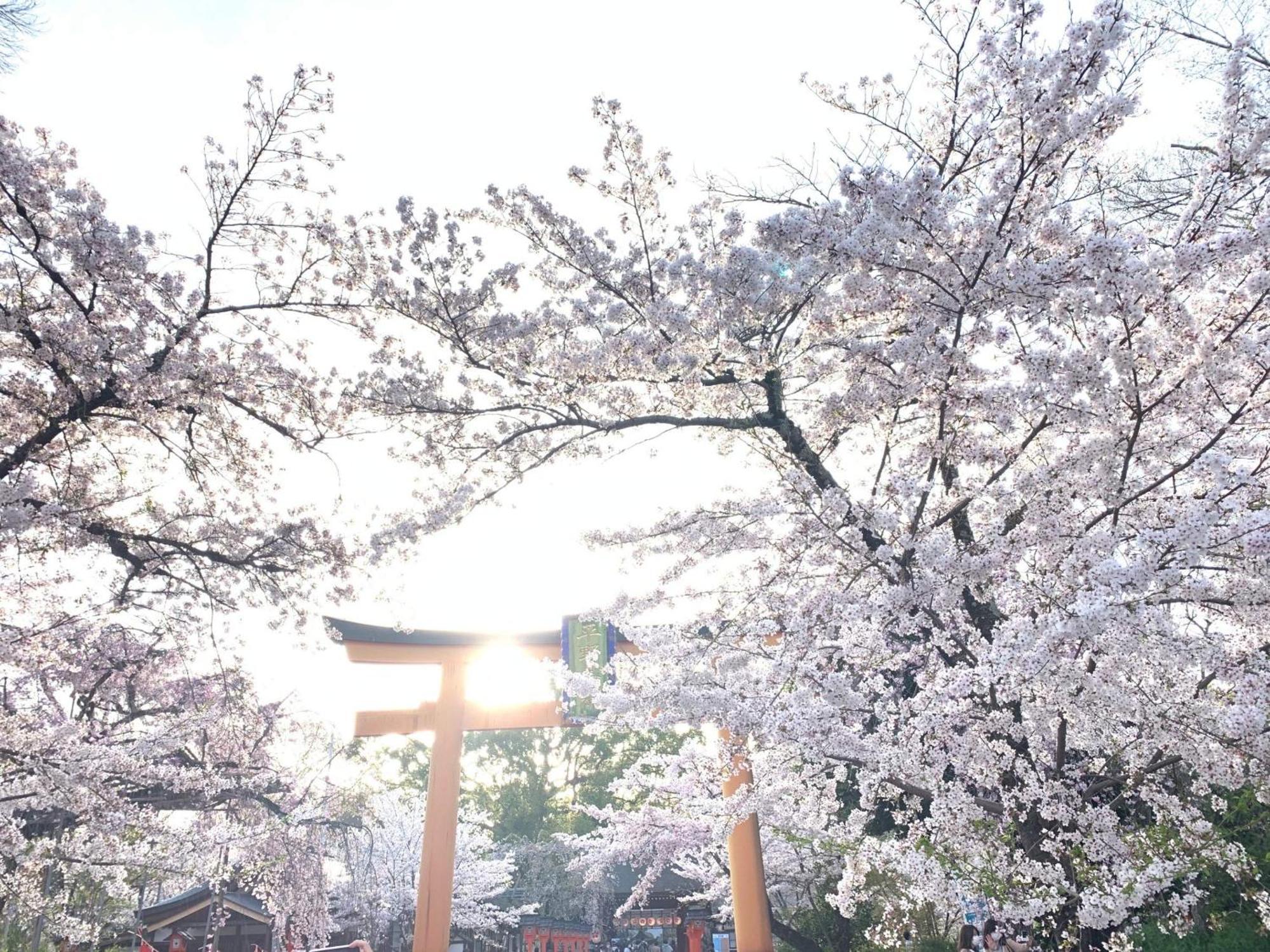 Kyounoyado Hana Nishijin - Kimono No Yado Kyōto Exterior foto
